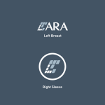 ARA Group Branding